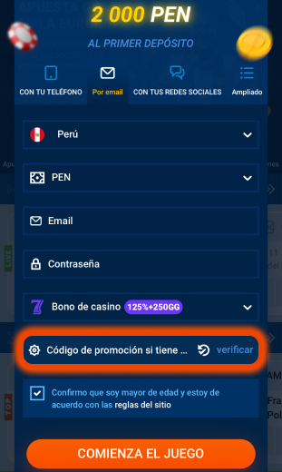 introduzca el código promocional